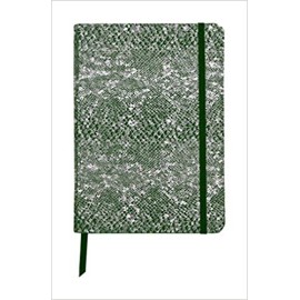 Clairefontaine CELESTE Leather Soft Cover A5 Lined Notebook Green Laser Silver