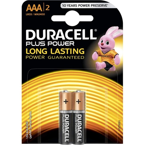 Duracell Plus Power Type AAA Alkaline Battery - 2 Pack