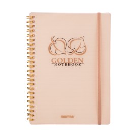 Notebook Mintra Gold Silver A5