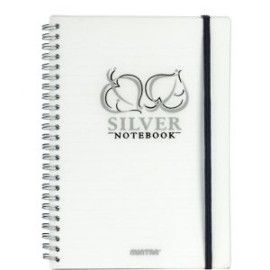 Notebook Mintra Gold Silver A5