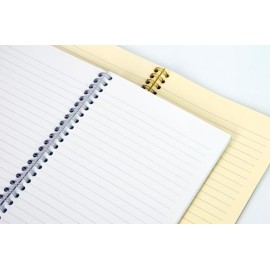 Mintra Gold & Silver B5 NoteBook, Lined Ruling 100 Sheets