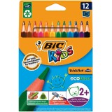 Evolution Coloring Pencils Set Of 12 | BIC