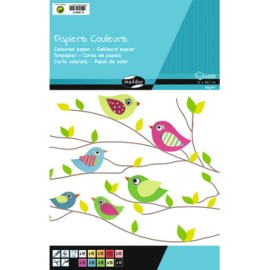 Colored Paper Pad A4 80gm | Clairefontaine