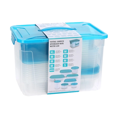 Storage Boxes Set 100pcs | Koopman