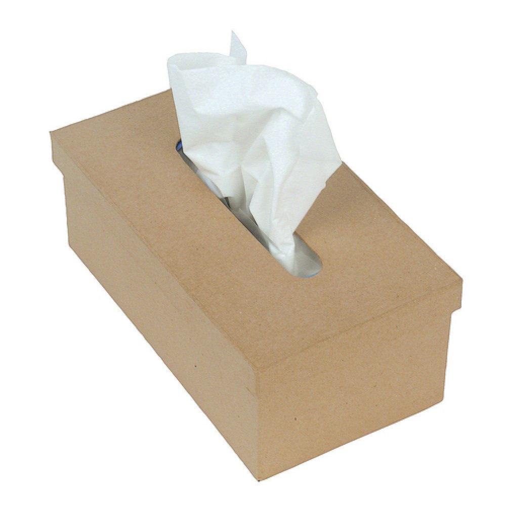 Tissue box Paper Mache | decopatch