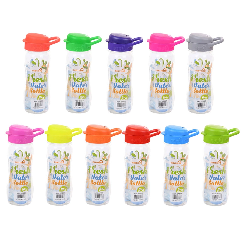 Water Bottle 650 ml | Mintra