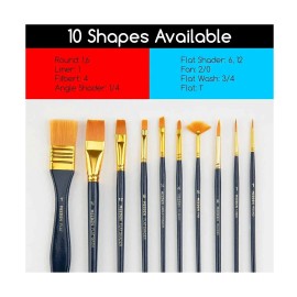 Acrylic Paint Brushes Set of 10 Pcs | meeden