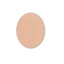Large Oval Sponges | panpastel