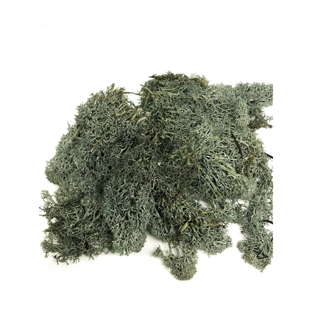 Dark Green Grass Large Bag