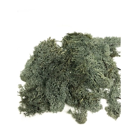 Dark Green Grass Large Bag